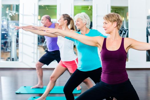 Group of senior people and young woman and men in fitness gym doing gymnastics