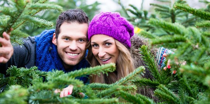 Couple having fun at the Christmas tree sale