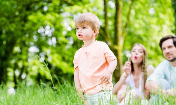 Boy running and playing on meadow with the family