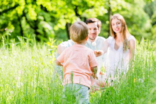 Boy running and playing on meadow with the family