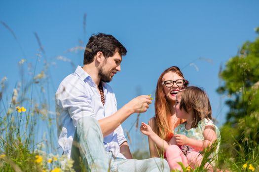 Family playing with wildflowers on meadow sitting in the grass