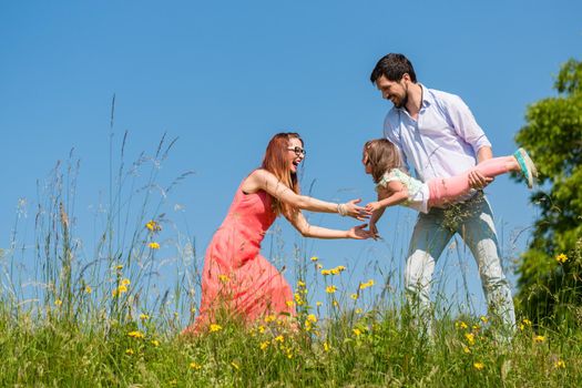 Family on meadow playing with their little daughter