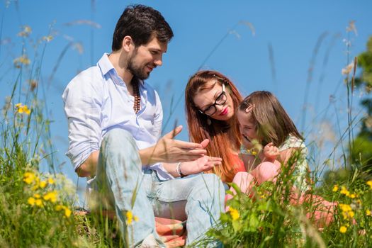 Family playing with wildflowers on meadow sitting in the grass