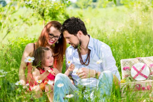 Family having picnic on meadow with healthy fruit