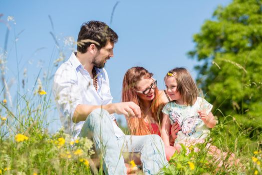 Family playing with wildflowers on meadow sitting in the grass