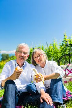 Senior couple eating fruit and drinking at picnic in summer, beautiful landscape in the background