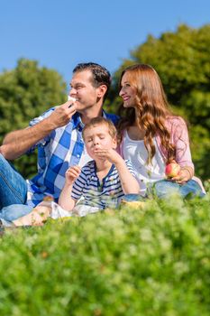 Family having picnic sitting in grass on meadow