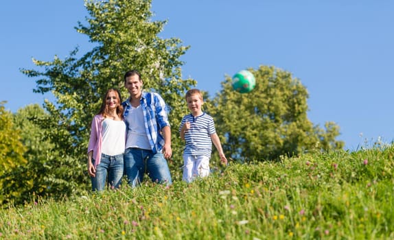 Family playing ball on summer meadow