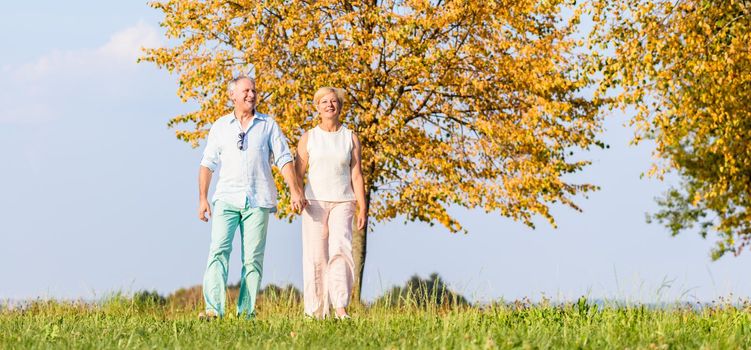 Senior couple, woman and man, having walk on meadow
