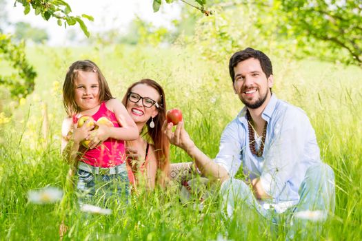 Family having picnic on meadow with healthy fruit