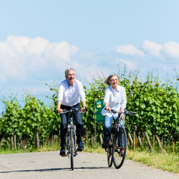 Senior woman and man using bike in summer in vineyard