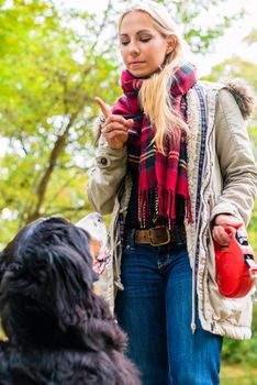 Girl in autumn park training her dog in obedience giving the sit command