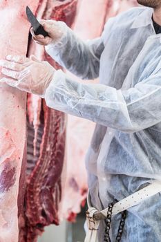 Hand of butcher in butchery cutting meat with knife