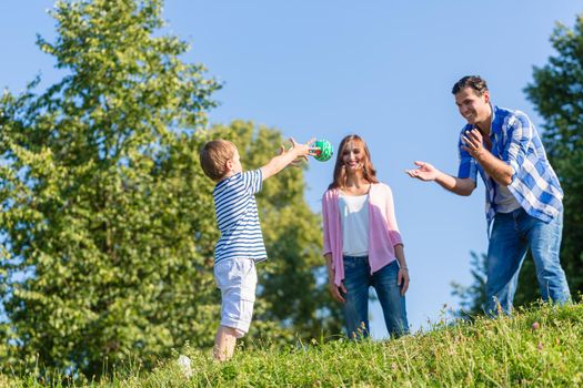 Family playing ball on summer meadow in summer