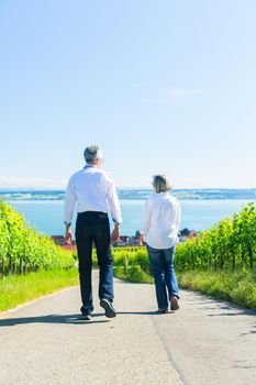 Senior couple, woman and man, having walk in vineyard