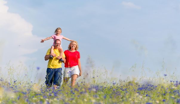 Family having walk on meadow with flowers, daddy is carrying his daughter piggyback