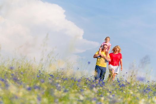 Family having walk on meadow with flowers, daddy is carrying his daughter piggyback