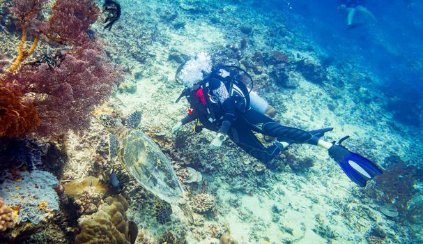 Divers diving at coral reef with sea turtle and different fishes