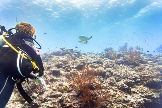 Tourist diving at coral reef in tropical ocean and watching Green sea turtle