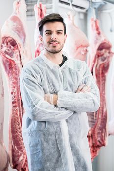 Worker in butchery standing in front of carcasses ready for meat processing