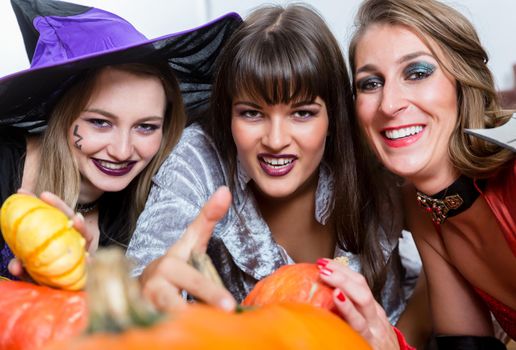 Three young and beautiful women wearing funny party costumes while acting as witches joining their malicious forces at Halloween