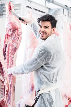 Butcher in butchery or slaughterhouse cutting meat for further processing