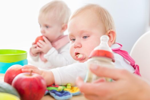 Portrait of a cute baby girl with blue eyes eating healthy solid food, while sitting in a high chair next to another baby in a modern daycare center for babies