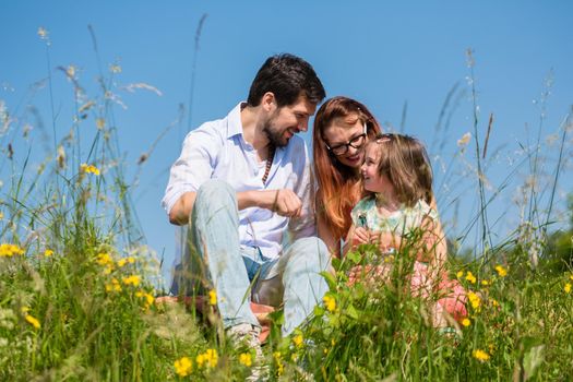 Family cuddling sitting at meadow on a summer day with blue sky