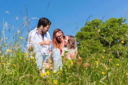 Family cuddling sitting at meadow on a summer day with blue sky