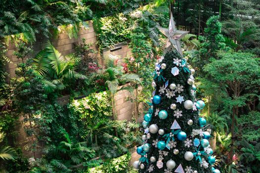 Very tall and colorful christmas tree with green nature background.