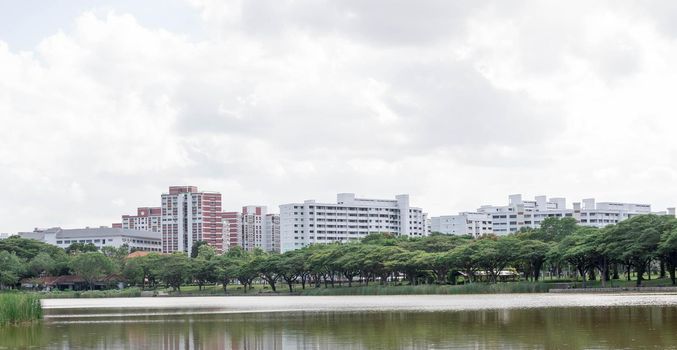 Tall grasses with river and residential condominium background