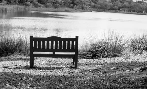 Bench chair isolated in a park with green nature and river. In black and white color