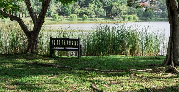 Bench chair isolated in a park with green nature and river