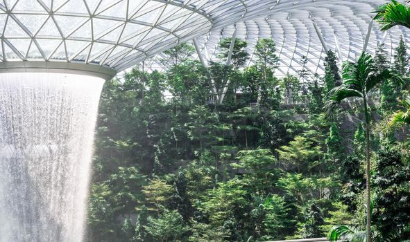 The Giant water fall HSBC Rain Vortex and beautiful green nature Shiseido Forest Valley in the Jewel Changi Airport, link to terminal Changi international Airport in Singapore; Singapore, 28 Dec 2019