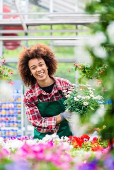 Portrait of a dedicated female florist smiling with professional satisfaction while holding a beautiful potted daisy flower plant for sale in a modern shop