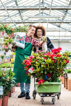 Cheerful handsome worker carrying a bag of potting soil while talking with a beautiful female customer in a modern flower shop