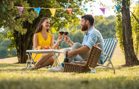 Happy young couple toasting with red wine while celebrating their love and relationship during a romantic picnic in a perfect day of summer