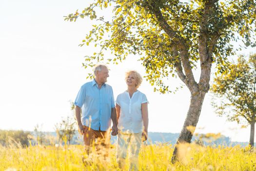 Romantic senior couple holding hands while walking together on a field in the countryside in summer