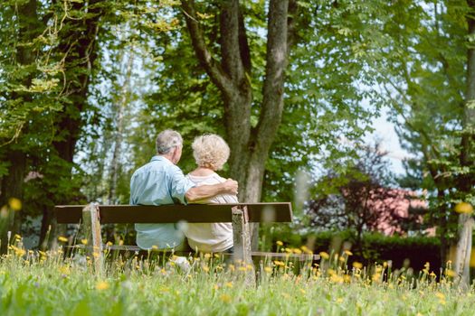 Rear view of a romantic elderly couple enjoying nature while sitting together on a bench in a tranquil day of summer in the park