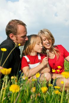 Young family in a meadow - the girl kid blowing dandelion seeds