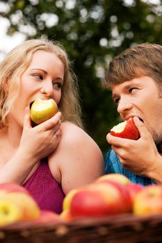 Couple (man and woman) eating freshly harvested apples - in front of them a basket with lots of fresh fruit