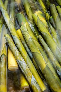 Texture of bamboo shoot  boiling in hot water, vegetable background