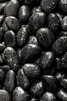 Wet surface of black river stone on ground beside the waterfall