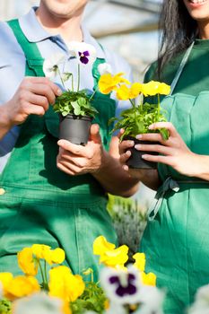 Male and female florist or gardener in flower shop or nursery