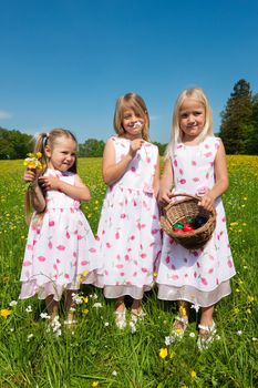 Children on an Easter Egg hunt on a meadow in spring still looking clueless