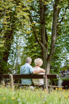 Rear view of a romantic elderly couple enjoying nature while sitting together on a bench in a tranquil day of summer in the park