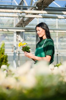 Female florist or gardener in flower shop or nursery