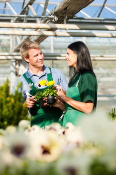 Female and male gardener in market garden or nursery