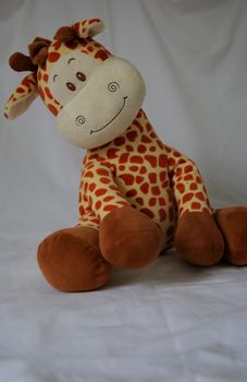salvador, bahia / brazil - may 6, 2020: plush giraffe toy seen in the city of Salvador.