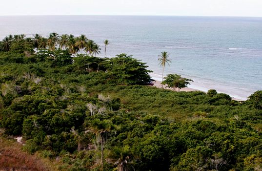 porto seguro, bahia / brazil - may 8, 2010: Aerial view of Nativos beach in the Tancoso district, in Porto Seguro.

